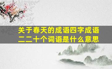 关于春天的成语四字成语二二十个词语是什么意思