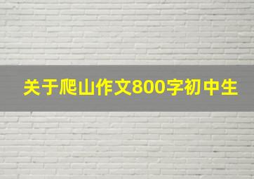 关于爬山作文800字初中生