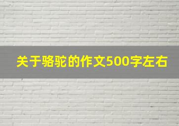 关于骆驼的作文500字左右