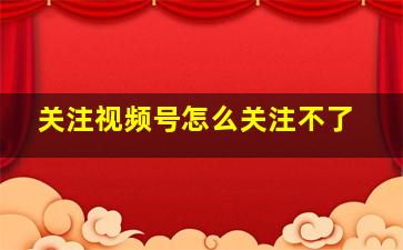 关注视频号怎么关注不了