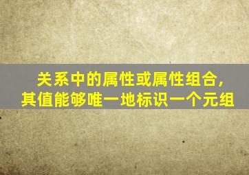 关系中的属性或属性组合,其值能够唯一地标识一个元组