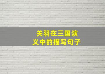 关羽在三国演义中的描写句子