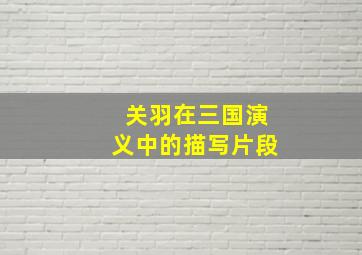 关羽在三国演义中的描写片段