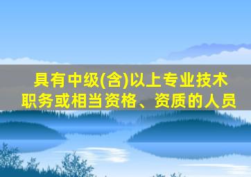 具有中级(含)以上专业技术职务或相当资格、资质的人员