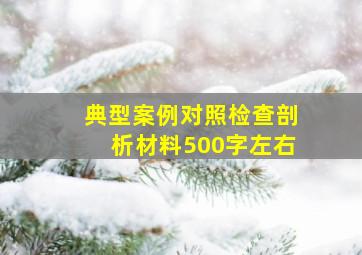 典型案例对照检查剖析材料500字左右