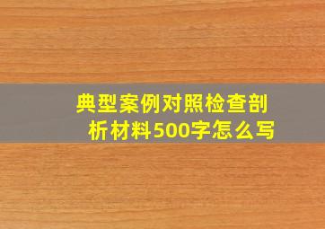 典型案例对照检查剖析材料500字怎么写