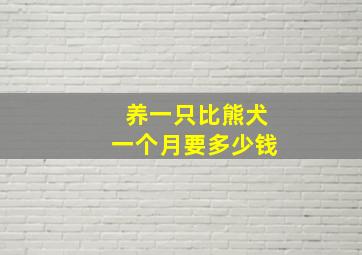 养一只比熊犬一个月要多少钱