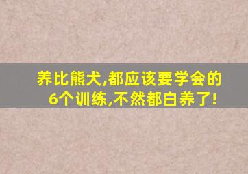 养比熊犬,都应该要学会的6个训练,不然都白养了!