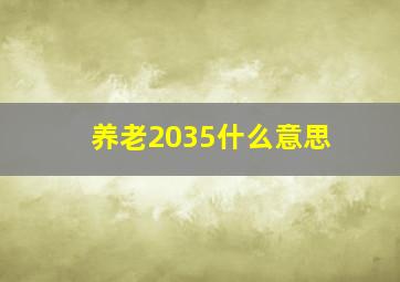 养老2035什么意思