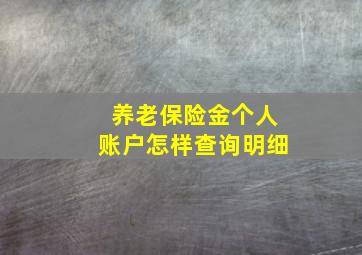 养老保险金个人账户怎样查询明细