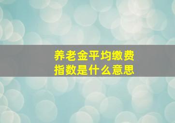 养老金平均缴费指数是什么意思