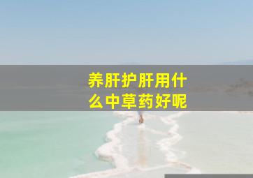 养肝护肝用什么中草药好呢