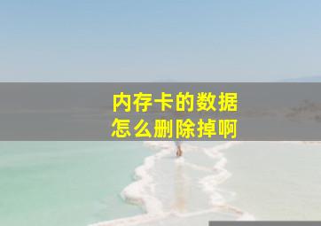 内存卡的数据怎么删除掉啊