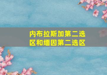 内布拉斯加第二选区和缅因第二选区