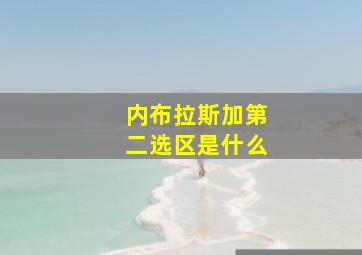 内布拉斯加第二选区是什么