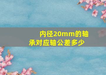 内径20mm的轴承对应轴公差多少