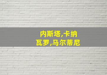 内斯塔,卡纳瓦罗,马尔蒂尼