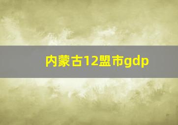 内蒙古12盟市gdp