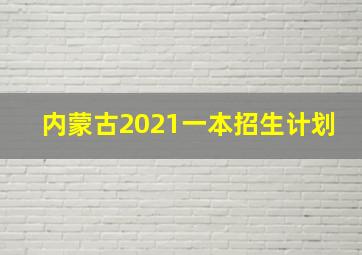 内蒙古2021一本招生计划