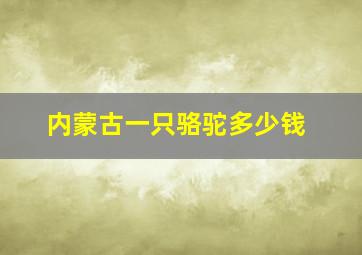 内蒙古一只骆驼多少钱