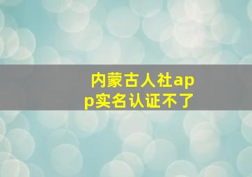 内蒙古人社app实名认证不了