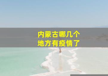 内蒙古哪几个地方有疫情了