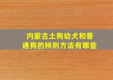 内蒙古土狗幼犬和普通狗的辨别方法有哪些