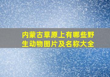 内蒙古草原上有哪些野生动物图片及名称大全