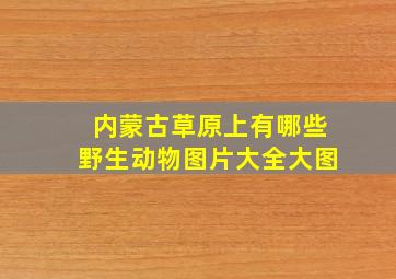 内蒙古草原上有哪些野生动物图片大全大图