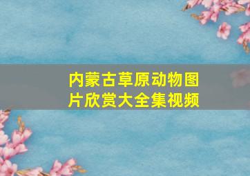 内蒙古草原动物图片欣赏大全集视频