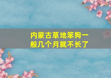 内蒙古草地笨狗一般几个月就不长了