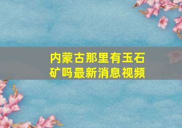 内蒙古那里有玉石矿吗最新消息视频