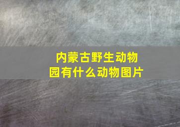 内蒙古野生动物园有什么动物图片