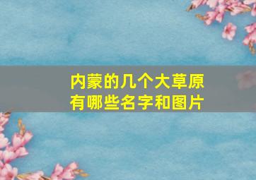 内蒙的几个大草原有哪些名字和图片