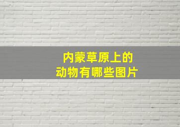 内蒙草原上的动物有哪些图片