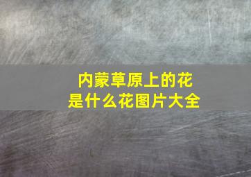 内蒙草原上的花是什么花图片大全