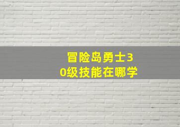 冒险岛勇士30级技能在哪学