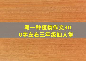 写一种植物作文300字左右三年级仙人掌