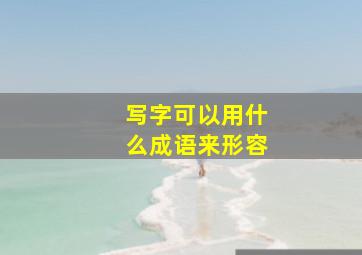 写字可以用什么成语来形容