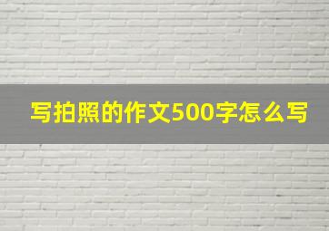 写拍照的作文500字怎么写