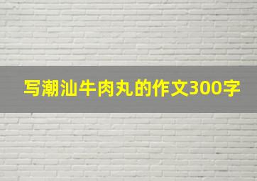 写潮汕牛肉丸的作文300字