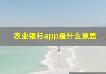 农业银行app是什么意思