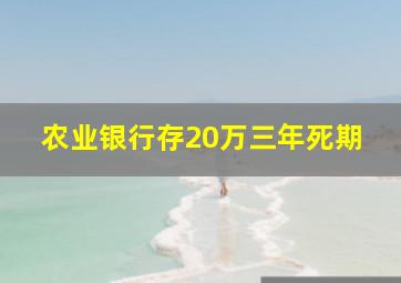 农业银行存20万三年死期