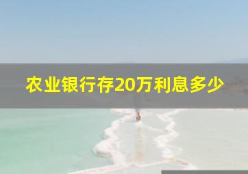 农业银行存20万利息多少