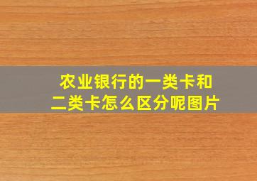 农业银行的一类卡和二类卡怎么区分呢图片