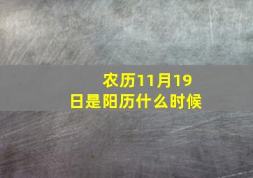 农历11月19日是阳历什么时候