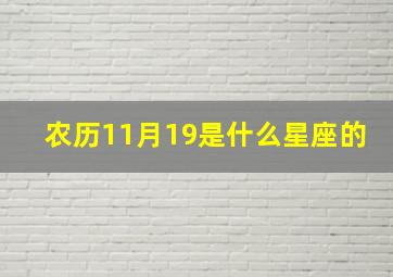 农历11月19是什么星座的