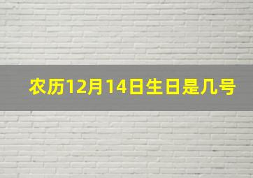 农历12月14日生日是几号