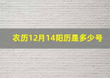 农历12月14阳历是多少号