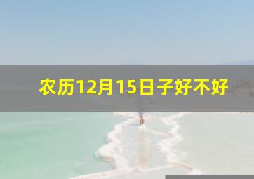 农历12月15日子好不好